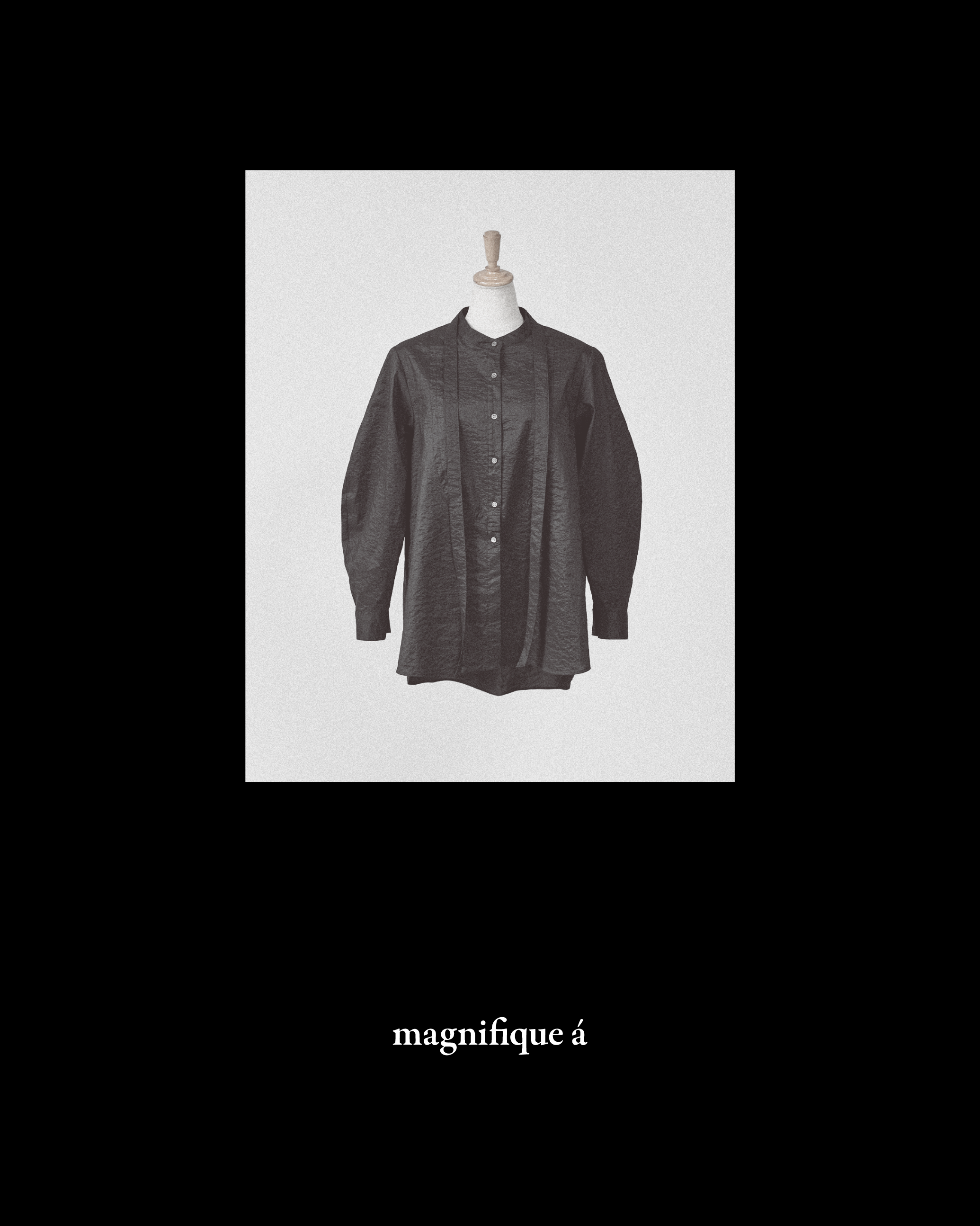 Magnifiquea_img10
